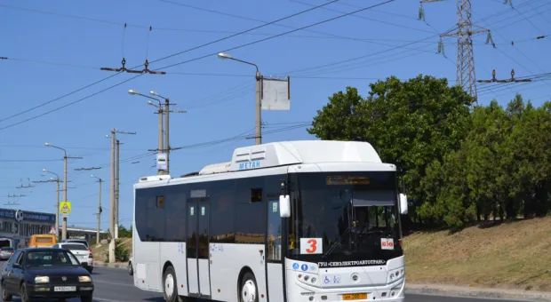 Гнев севастопольцев вызвал еще один автобусный маршрут
