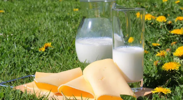 Учёные раскрыли неожиданный побочный эффект от молока