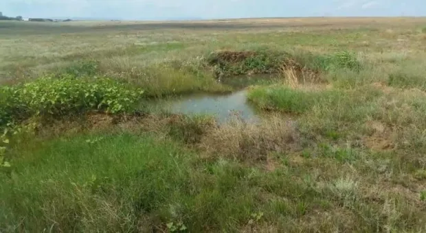 В Крыму вместо кранов воду спускают на бесхозные поля