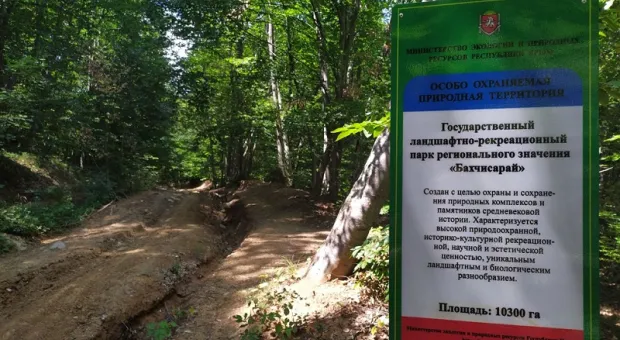 Туристов возмутили «разбойники» в крымских лесах
