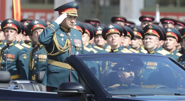 Новости России - Севастопольского изувера настигло наказание за избиение людей и животных