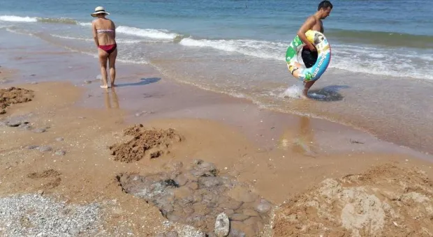 Туристы на пляжах в Крыму обустраивают могильники для медуз (Видео)
