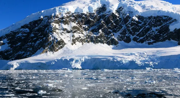 Невероятная находка в Антарктиде поставила учёных в тупик