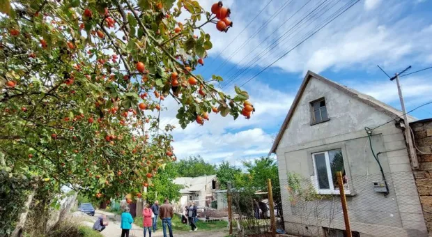 Садоводов 7 лет «футболят» с правом собственности на землю в Крыму