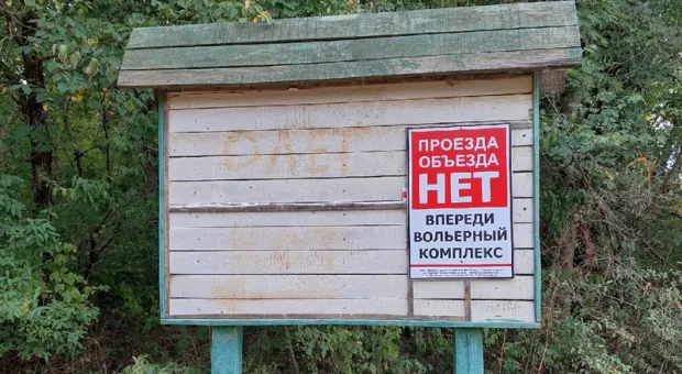 В Крыму согласовали вольеры для разведения диких животных на отстрел