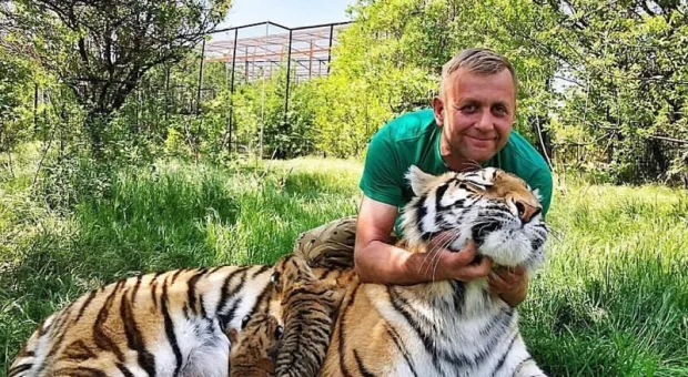 Владелец крымского сафари-парка назвал виновного в нападении тигра на ребенка
