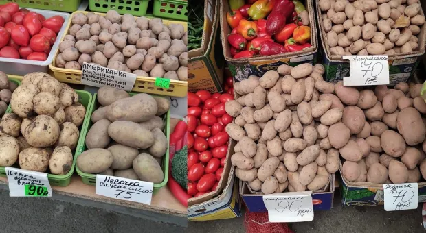 В Севастополе резко подскочили цены на картофель