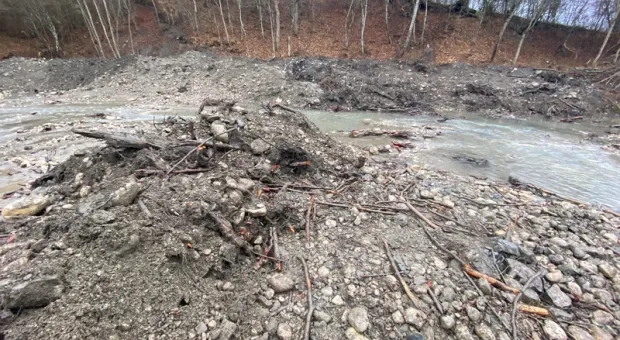 В Крыму неизвестные лесорубы перепутали расчистку реки с вырубкой