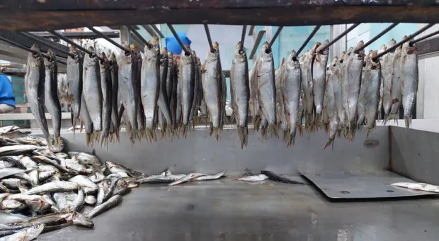 Севастопольцев на Новый год ждет рыбный стол 