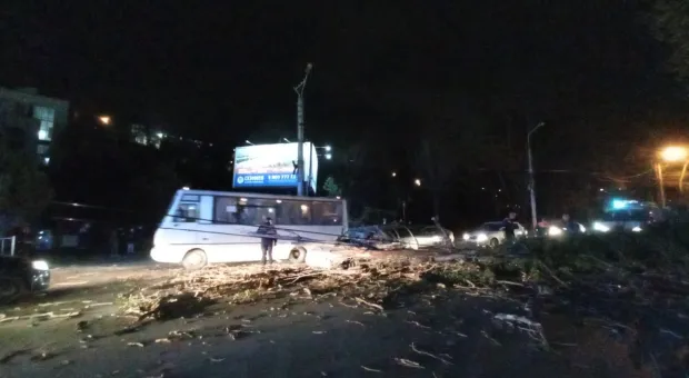 «Ветер с камнями и деревья на машины». Шторм парализовал движение в Севастополе