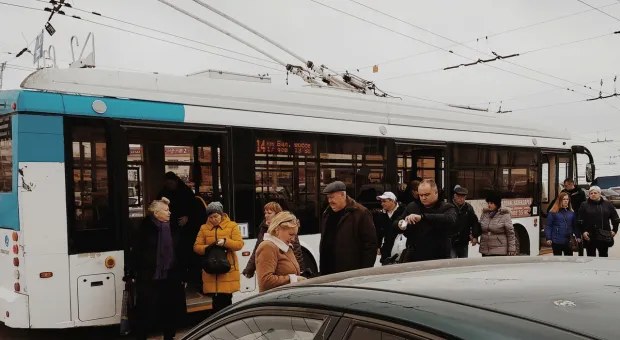 Севастопольский троллейбус за полгода заработает четверть миллиарда рублей