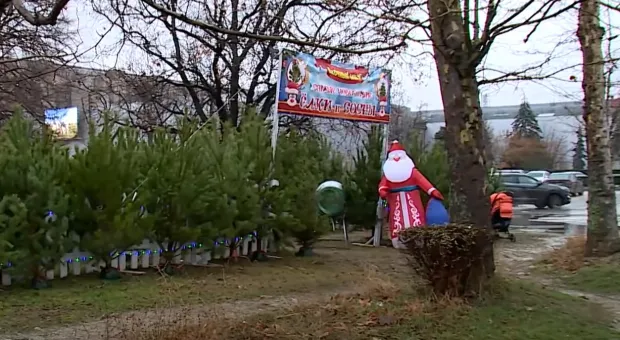 За новогодней ёлкой жителям Балаклавы придётся ехать в другие районы