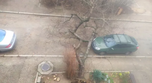 Новости Севастополя - 