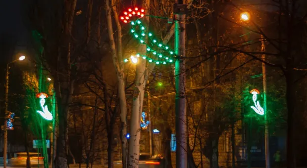 Горсвет расцветил любимую в Севастополе советскую гвоздику 