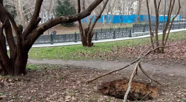 Земля в столичном парке Крыма ушла из-под ног