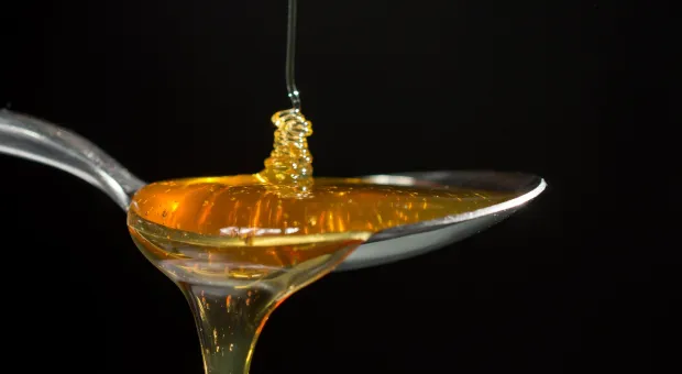 Как любовь к меду привела жительницу Севастополя к ограблению