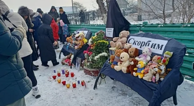 Закон об отлове бродячих собак изменит страшная гибель маленькой девочки Закон об отлове бродячих собак изменит страшная гибель маленькой девочки