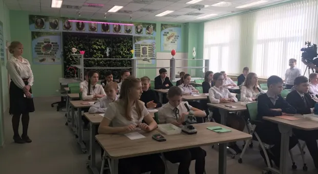 Абсолютное большинство учебных классов Севастополя переполнены