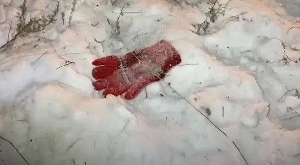 Погибшую при нападении собак в Забайкалье девочку похоронят в Крыму