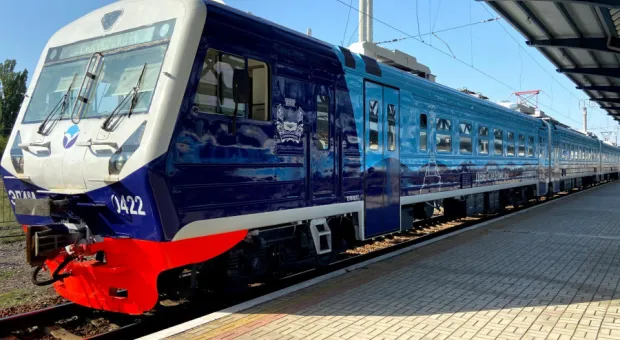 О перспективах поездов через Донбасс рассказала сенатор от Севастополя 