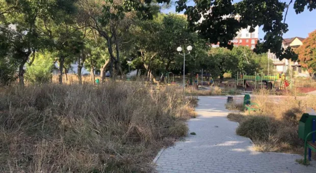 Новости Севастополя - 