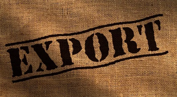 Как повлияет на экономику России запрет на экспорт своих товаров
