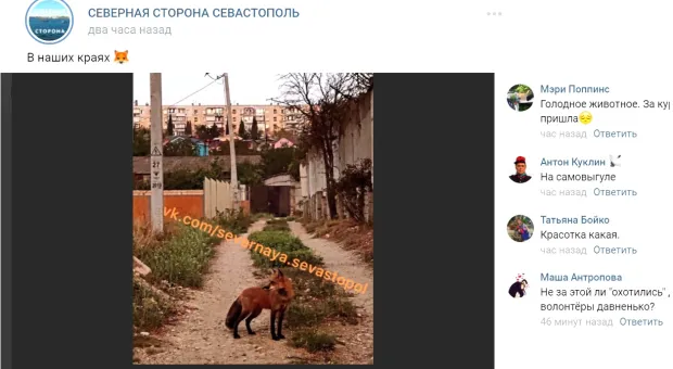 Новости Севастополя - От хорошей или от плохой жизни севастопольцы берут кредиты? 