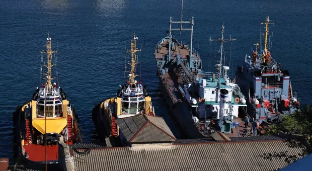 Севастопольский морской порт переформатируют под хаб артелей рыболовов 