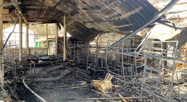 На пожаре в Крыму погибли два человека