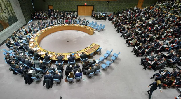 За резолюцию с призывом прекратить огонь на Украине выступили два члена СБ ООН