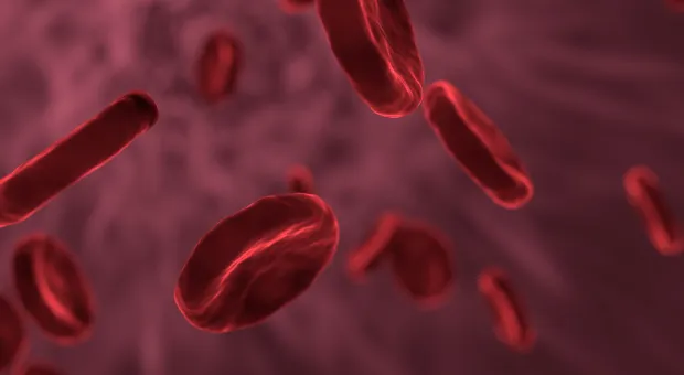 Учёные сделали пугающее открытие, которое касается крови человека