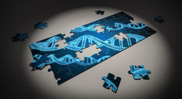Учёные полностью расшифровали геном человека