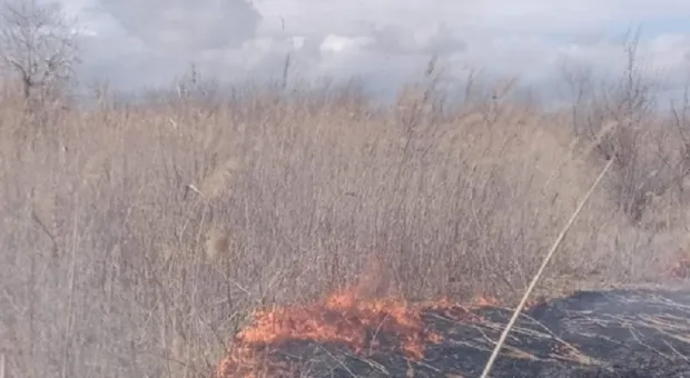 В Крыму есть больше полутысячи мест, которым угрожают ландшафтные пожары