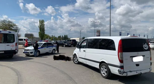 В Крыму за два дня в авариях погибли водитель и пешеход