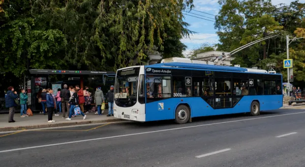 В общественном транспорте Севастополя активизировались дебоширы