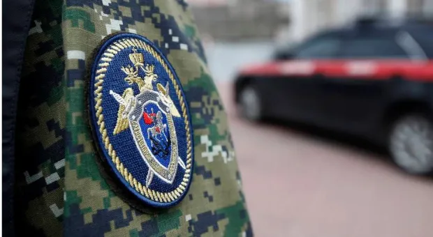 Новости России - Павел Крашенинников: С 1 июня упростят оформление домов и дачных участков 