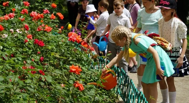В Москве для крымского музея воссоздали утраченный графский сорт роз