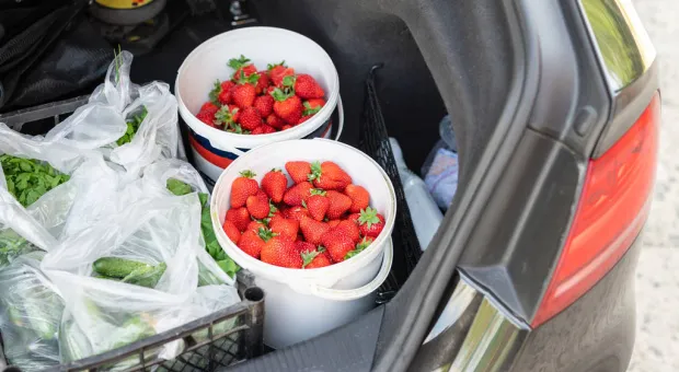 Сотрудников автозавода вместо сборки машин отправили на сбор ягод