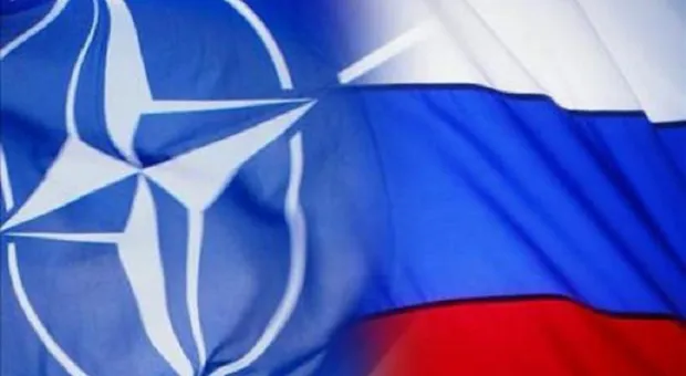 В Госдуме нашли способ развалить НАТО?