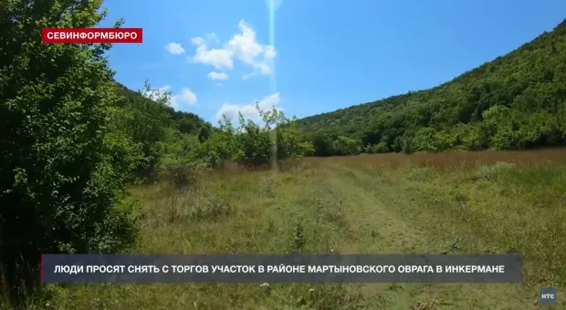 Мартыновский овраг пообещали снять с аукциона севастопольских земель 