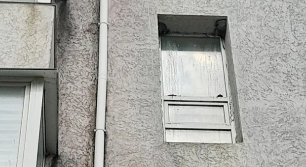 Ласточки облюбовали две жилые пятиэтажки в Крыму
