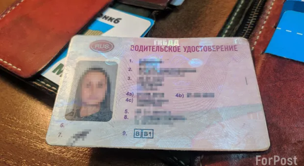 Жителям ДНР, ЛНР и Украины облегчили замену водительских прав на российские