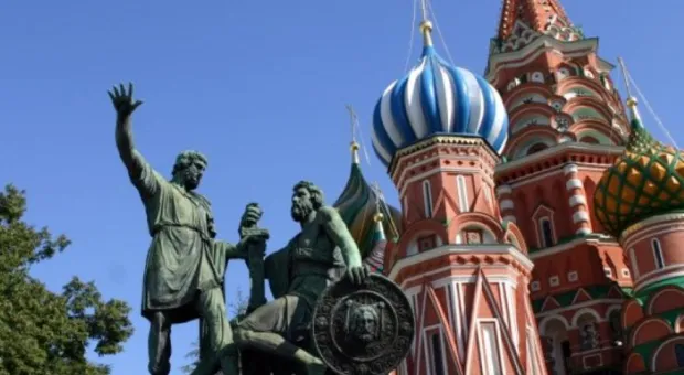 Новости России - Почему в России домашние животные проживут и без чипов, и на самовыгуле