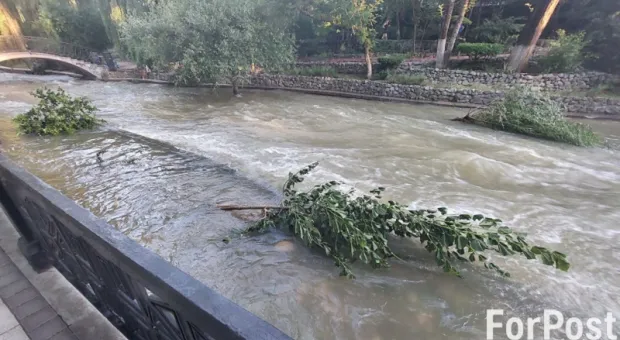 Такого не было десятки лет: крымские гидрологи оценили паводок на Салгире