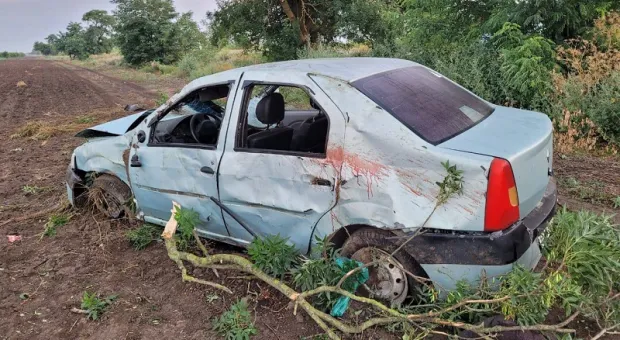 На севере Крыма женщина насмерть разбилась, врезавшись в дерево