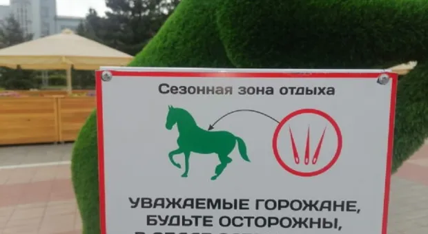 Новости России - Ботинок, запущенный в мэра, оказался действенным способом общения с властью