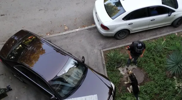 Жители Севастополя прошли антитеррористический тест на бдительность