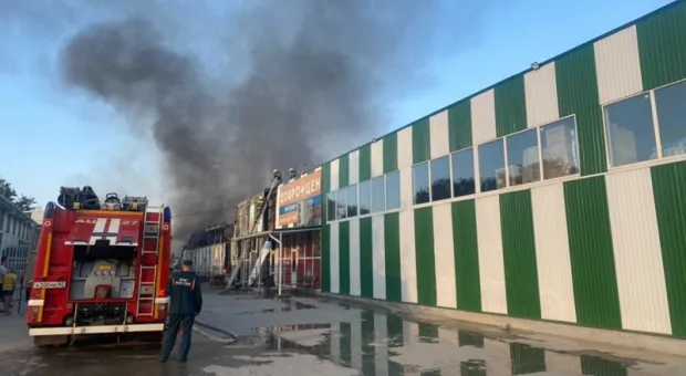 В МЧС прокомментировали крупный пожар в крымском посёлке