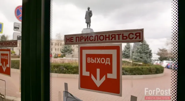 Новости Севастополя - Севастополец выкинул собаку из окна пятого этажа