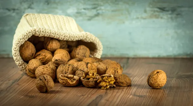Грецкие орехи оказывают «чудотворное» влияние на организм человека